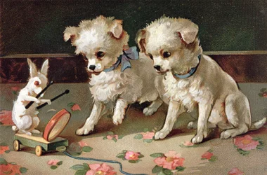 Bunny on Wheels meets Two Friends